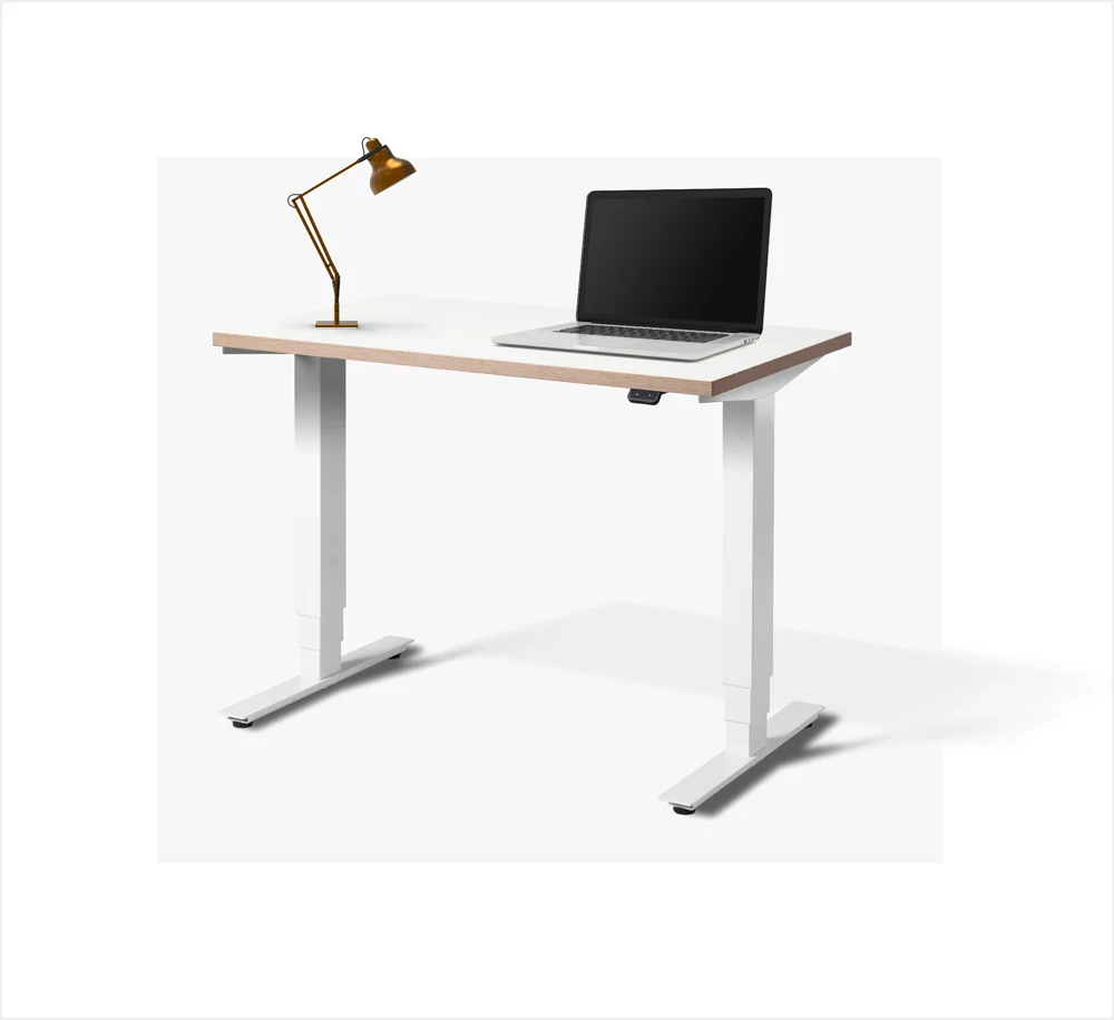 HD2 Mini Height Adjustable Desk – Naturals Collection